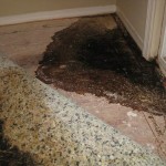 Water, mold